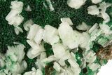 Sparkling Cerussite Crystals on Fibrous Malachite - Congo #335211-1